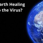 the earth healing due to the virus