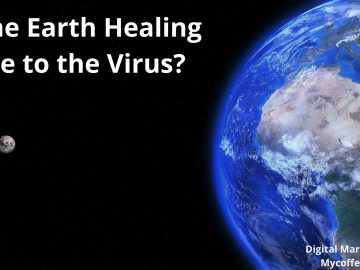 the earth healing due to the virus